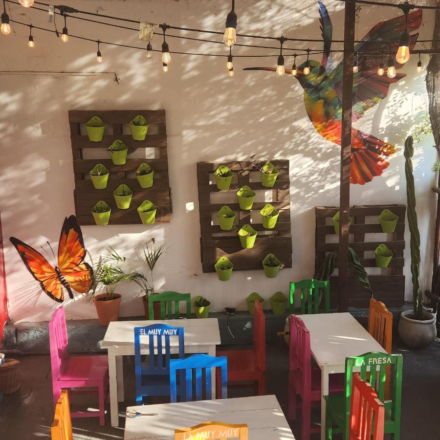 Casa Frida Villa Tulum Dış mekan fotoğraf